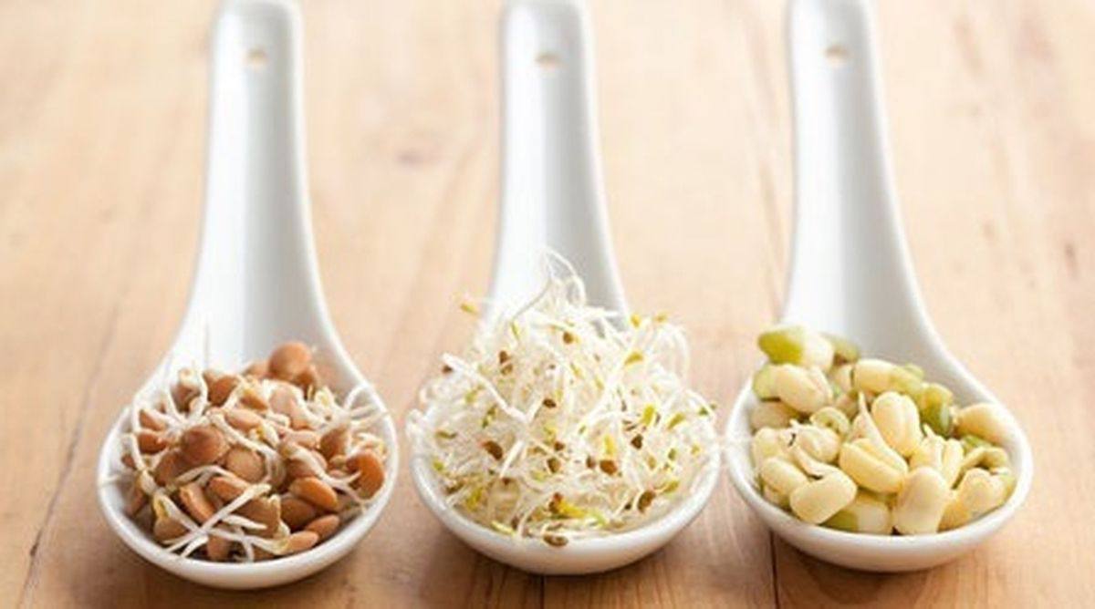 Sprogusių grūdų nauda